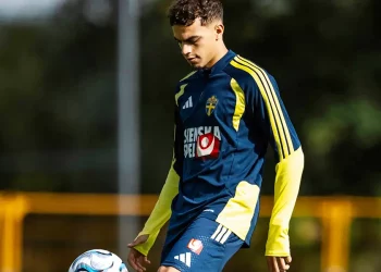 Yasin Ayari