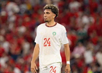 Neil El Aynaoui
