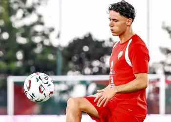 Soufiane El-Faouzi